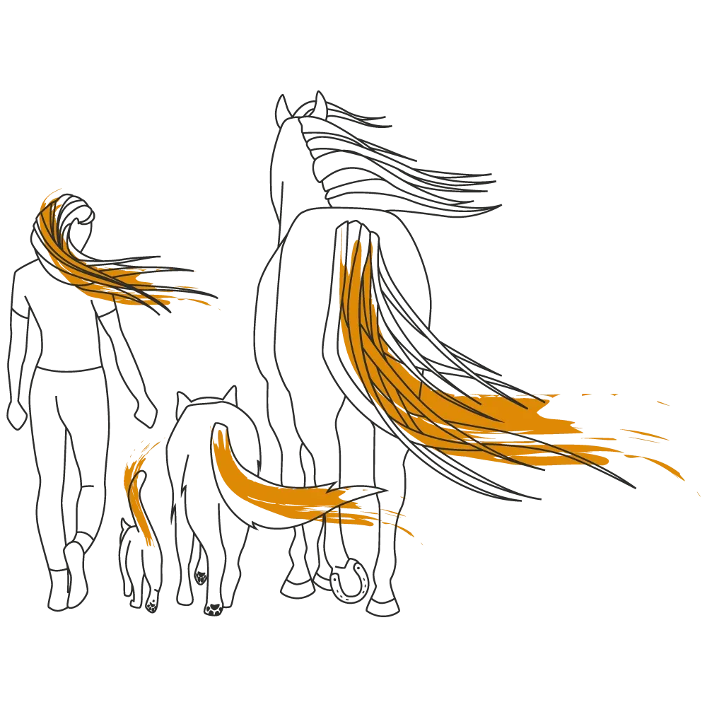 illustration ophelie porcher